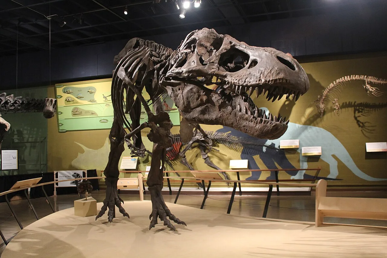 T-rex