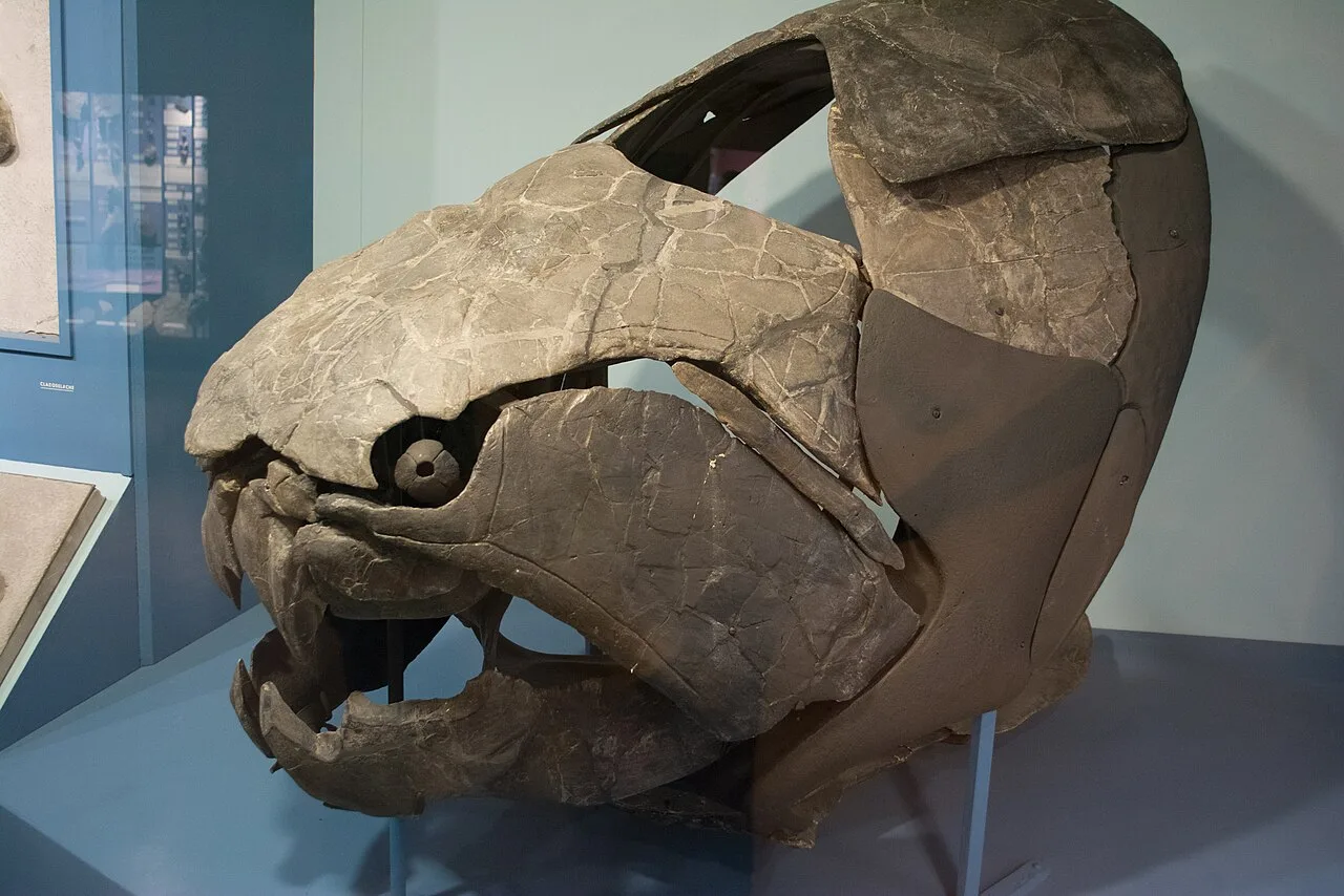 Dunkleosteus