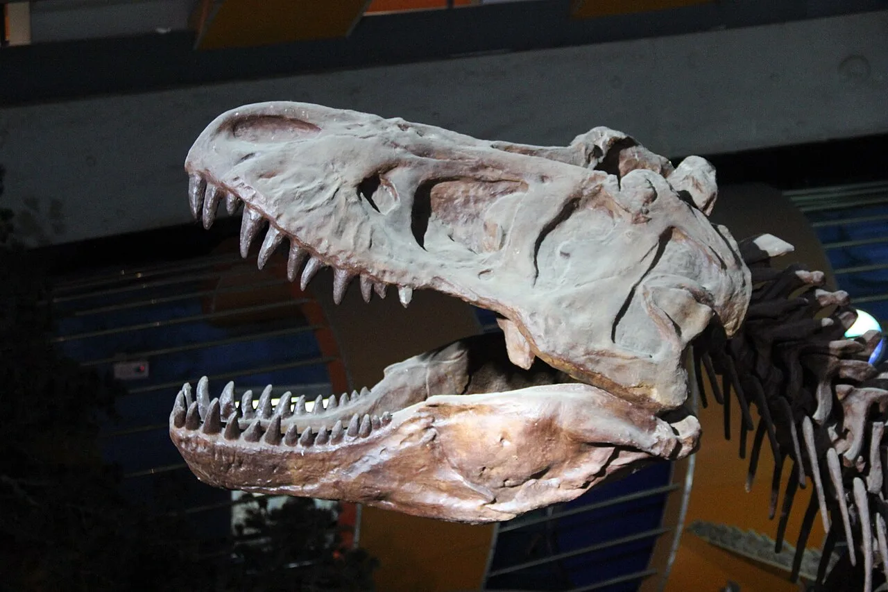 T-rex