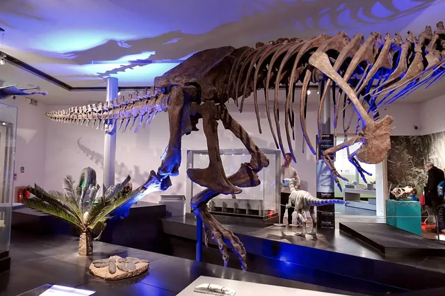T-rex