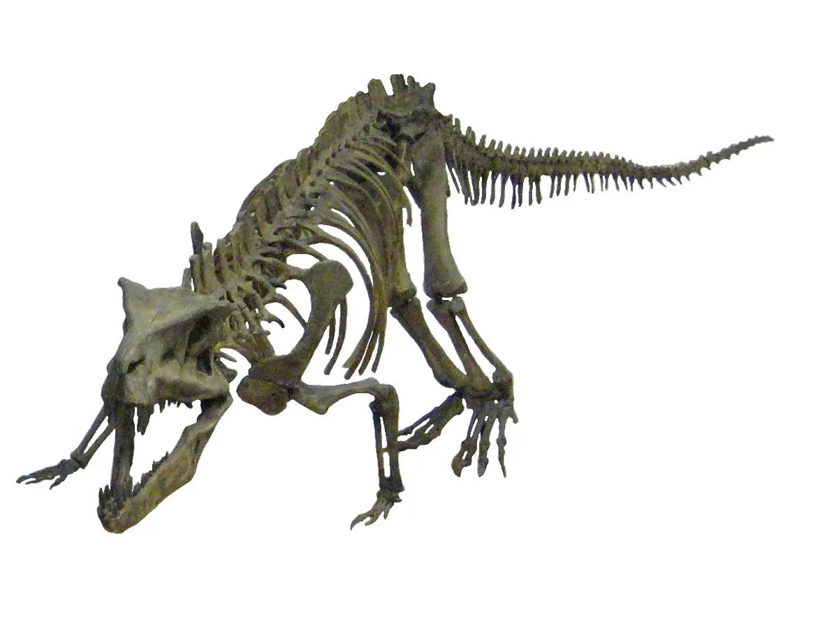 Postosuchus