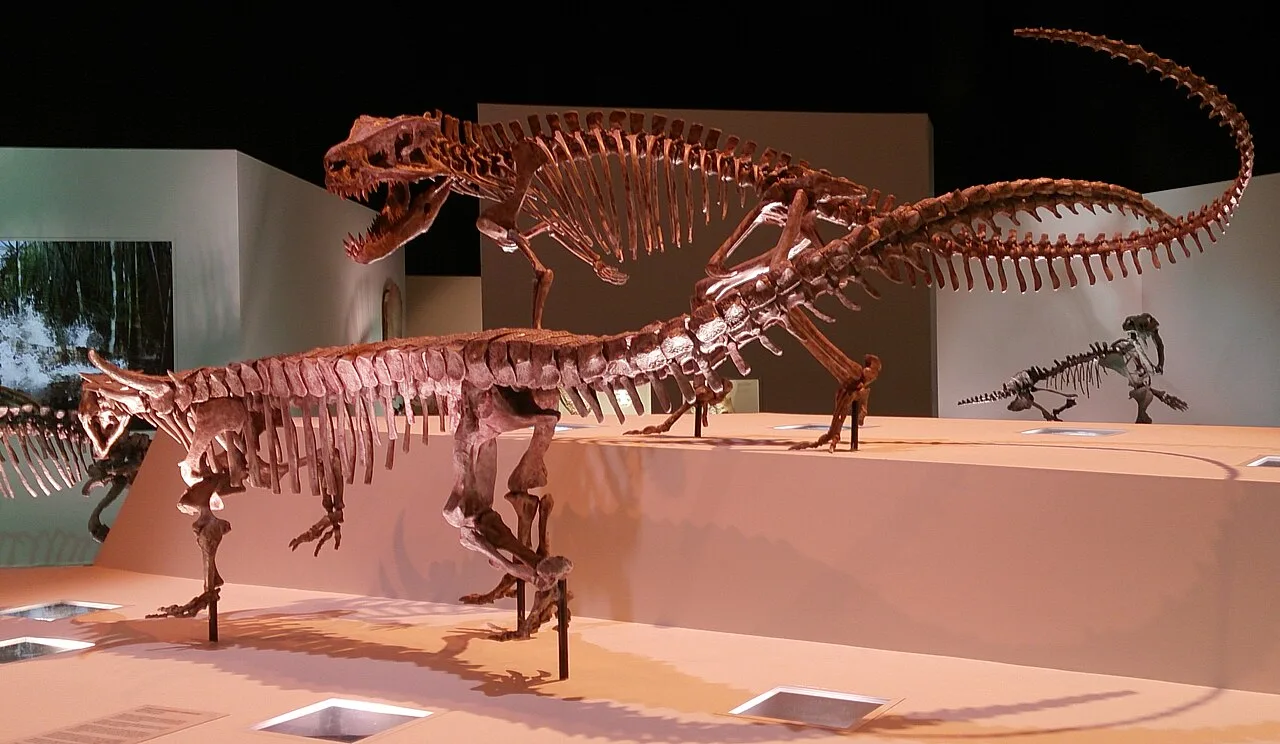 Postosuchus